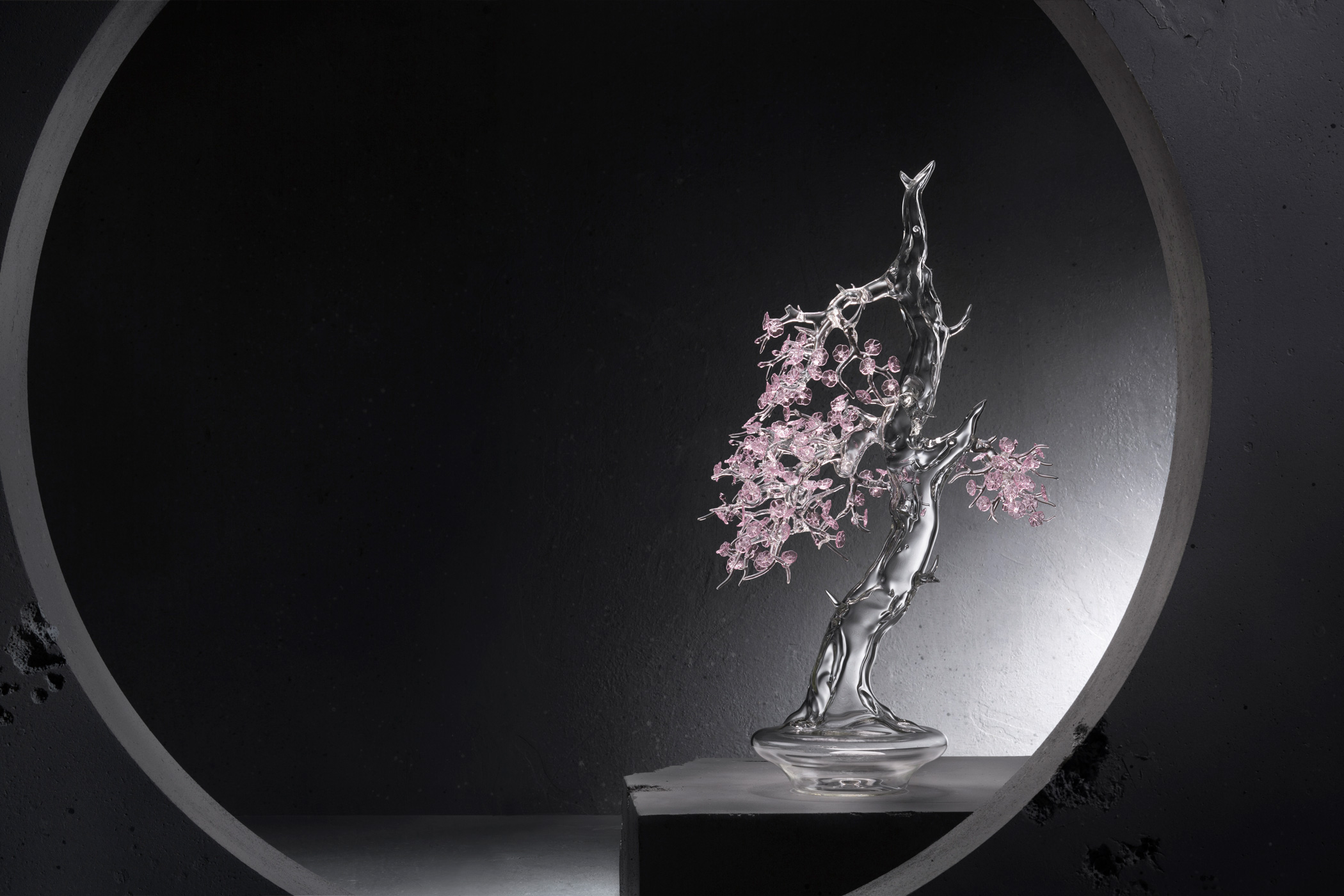 Read more about the article Glass & Blossom Bonsai